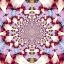 Picture of MAGENTA 1