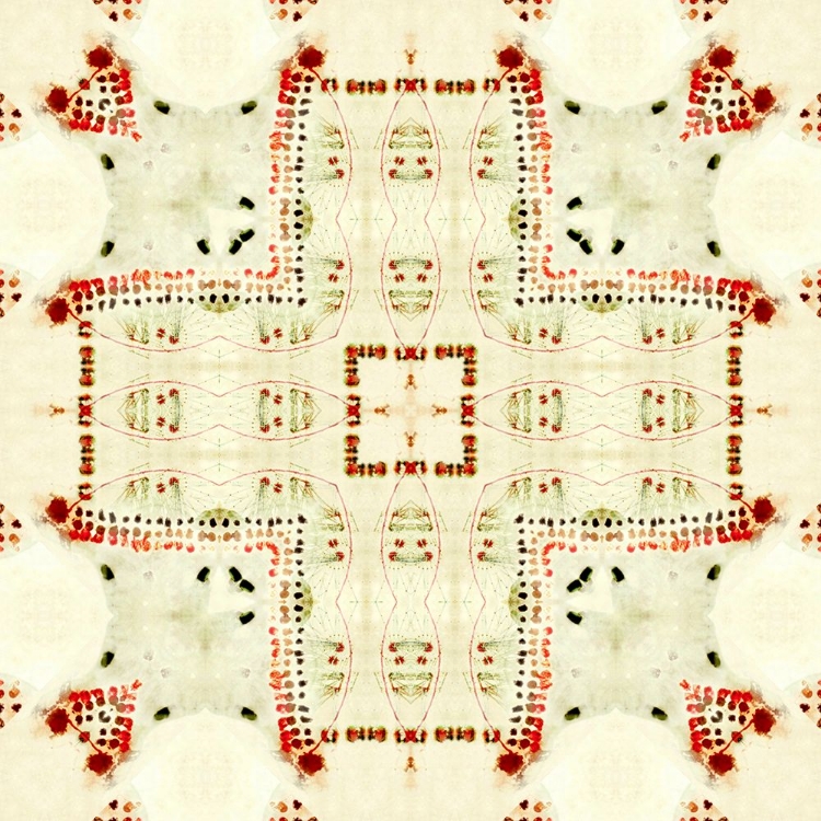 Picture of RED CREAM 2