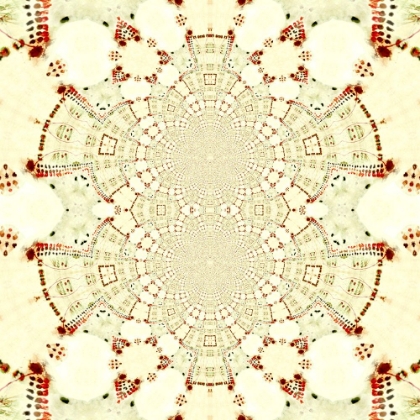 Picture of RED CREAM 4
