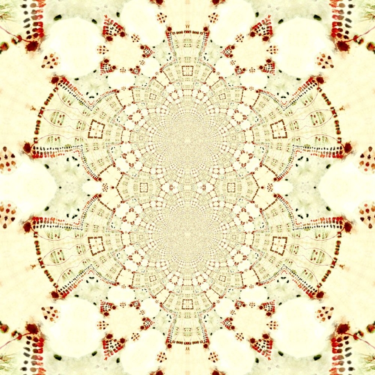 Picture of RED CREAM 4