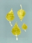 Picture of UNTITLED