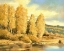 Picture of LEAVES TURNING 1