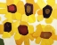 Picture of SIX SUNFLOWERS
