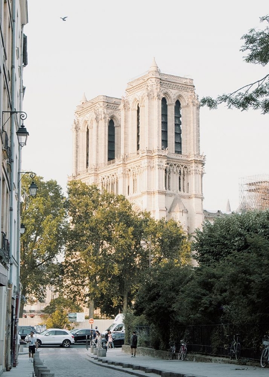 Picture of NOTRE DAME