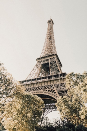 Picture of PARIS