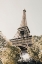 Picture of PARIS