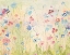 Picture of FORGET-ME-NOT