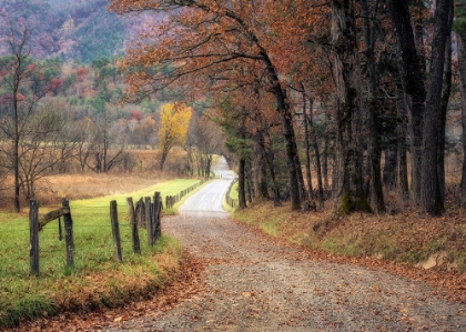 Picture of AUTUMN DRIVE I