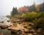 Picture of MISTY MAINE