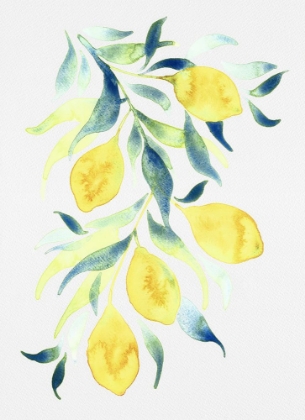 Picture of WATERCOLOR LEMONS