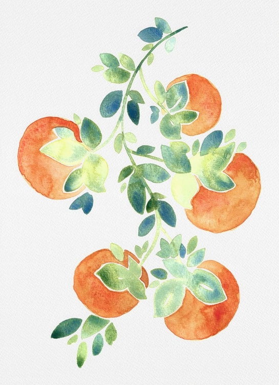 Picture of WATERCOLOR ORANGES