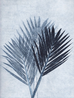 Picture of PALM 4 BLUE