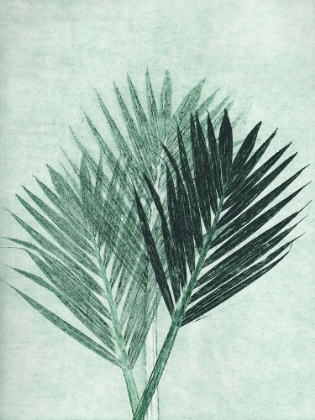 Picture of PALM 4 GREEN