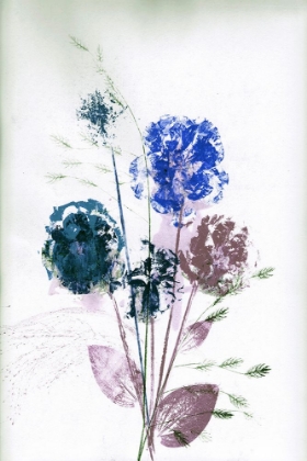 Picture of BOUQUET BLUE