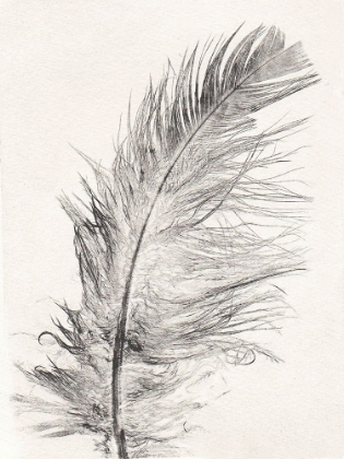 Picture of FEATHER 1 LIGHT