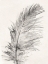 Picture of FEATHER 1 LIGHT