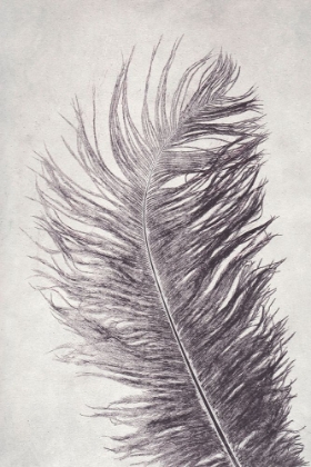Picture of FEATHER 4 LIGHT