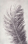 Picture of FEATHER 4 LIGHT