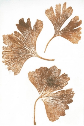 Picture of GINKGO 3 BROWN