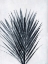 Picture of PALM 2 GREY