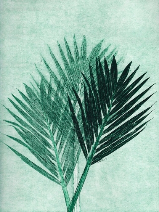 Picture of PALM 4 GREEN