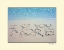 Picture of LOVE YOU MORE