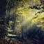 Picture of BEING THERE REVISITED