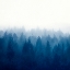 Picture of HEART AND SOUL - FOGGY FOREST