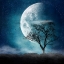 Picture of MOON BLUES