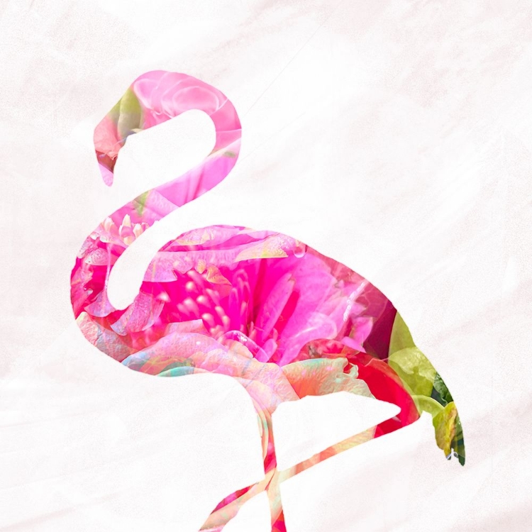 Picture of FLAMINGO