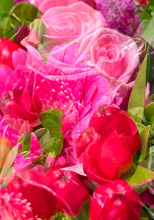 Picture of FLOWERS FOR VALENTINE