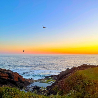 Picture of SUNSET ON THE OREGON COAST