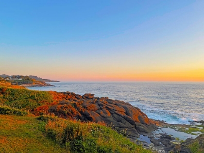 Picture of OREGON COAST NEAR DEPOE BAY 1