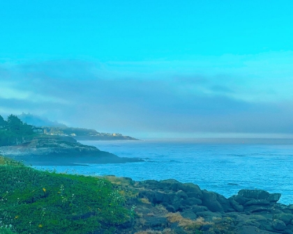 Picture of OREGON COAST NEAR DEPOE BAY 2