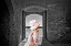 Picture of ICE CREAM DOOR 1