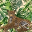 Picture of FRIENDLY JUNGLE 4