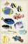 Picture of ANTIQUE AQUARIUM II