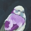 Picture of VIVID BIRD IV