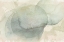 Picture of SOFTWASH ABSTRACT  III