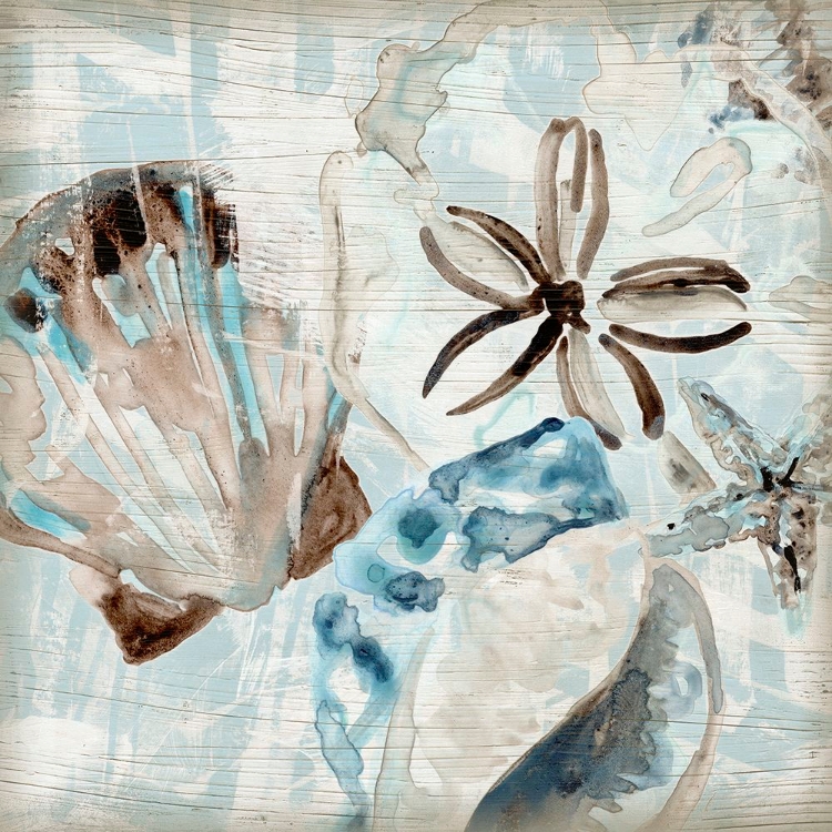Picture of DRIFTWOOD SHELL COLLAGE I
