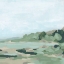Picture of SOFT FOCUS SHORE II