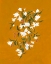 Picture of VINE STUDY IN SIENNA I