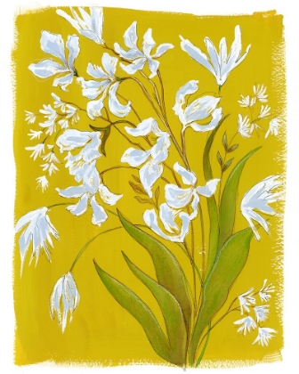 Picture of WHITE BLOOMS IN YELLOW FIELD I