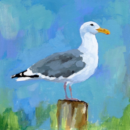Picture of SALTY GULL I
