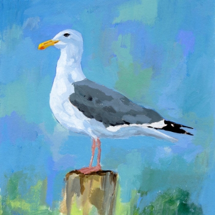 Picture of SALTY GULL II