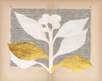 Picture of PRESSED DIARY II