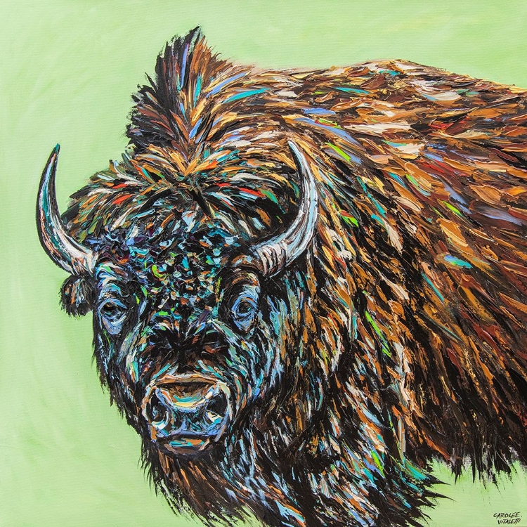 Picture of A LARGE BISON