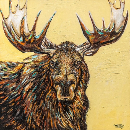 Picture of A LARGE MOOSE