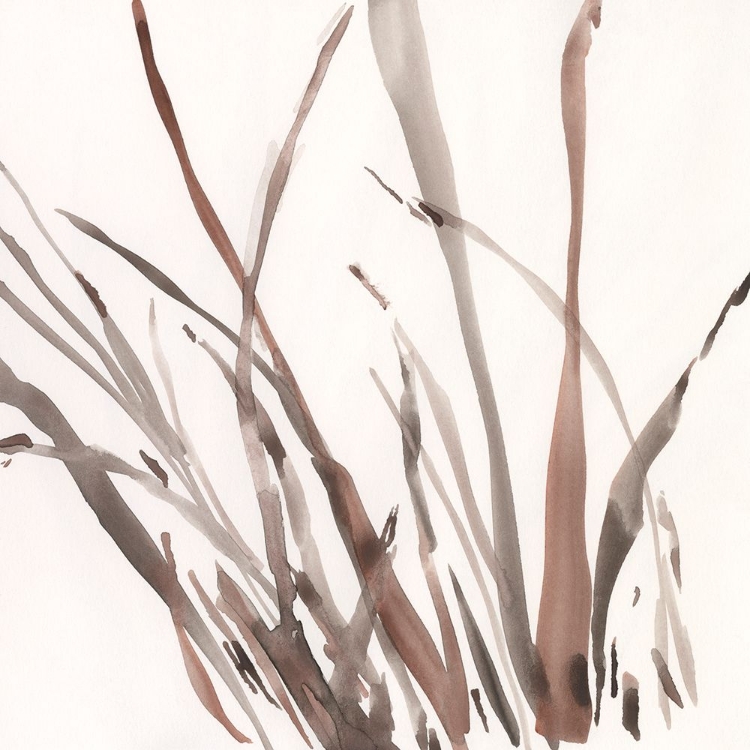 Picture of THE BROWN GRASS II