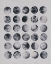 Picture of MANY MOONS II